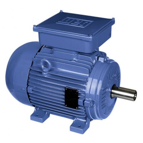MOTORES MONOFÁSICOS ELÉTRICOS