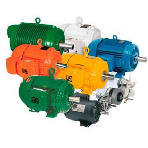 MOTORES ELÉTRICOS - TRIFASICOS DE ALTA POTENCIA E  TENSÃO